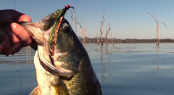 Victoria's Hopkins River provides some good sport fishing options for loclas in the know. Image: Tim Vincent